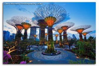 Singapore 8